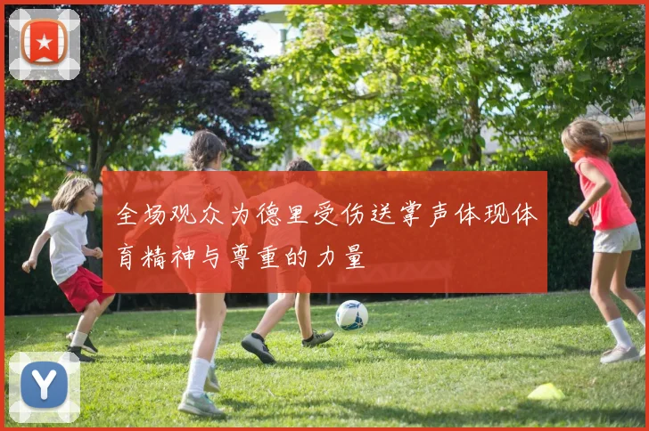 全场观众为德里受伤送掌声体现体育精神与尊重的力量