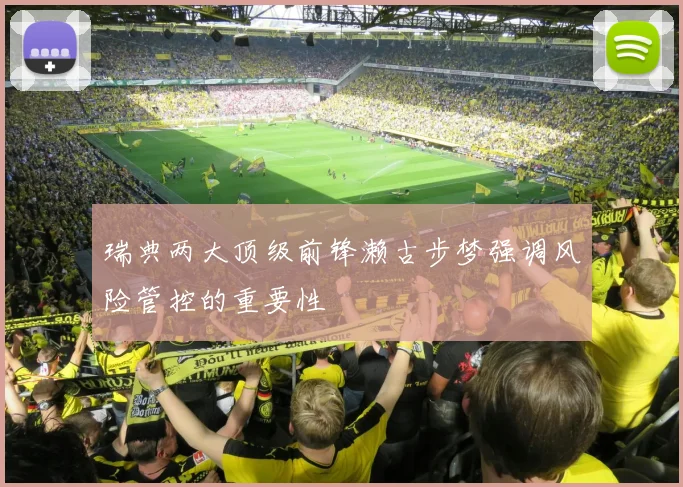 瑞典两大顶级前锋濑古步梦强调风险管控的重要性